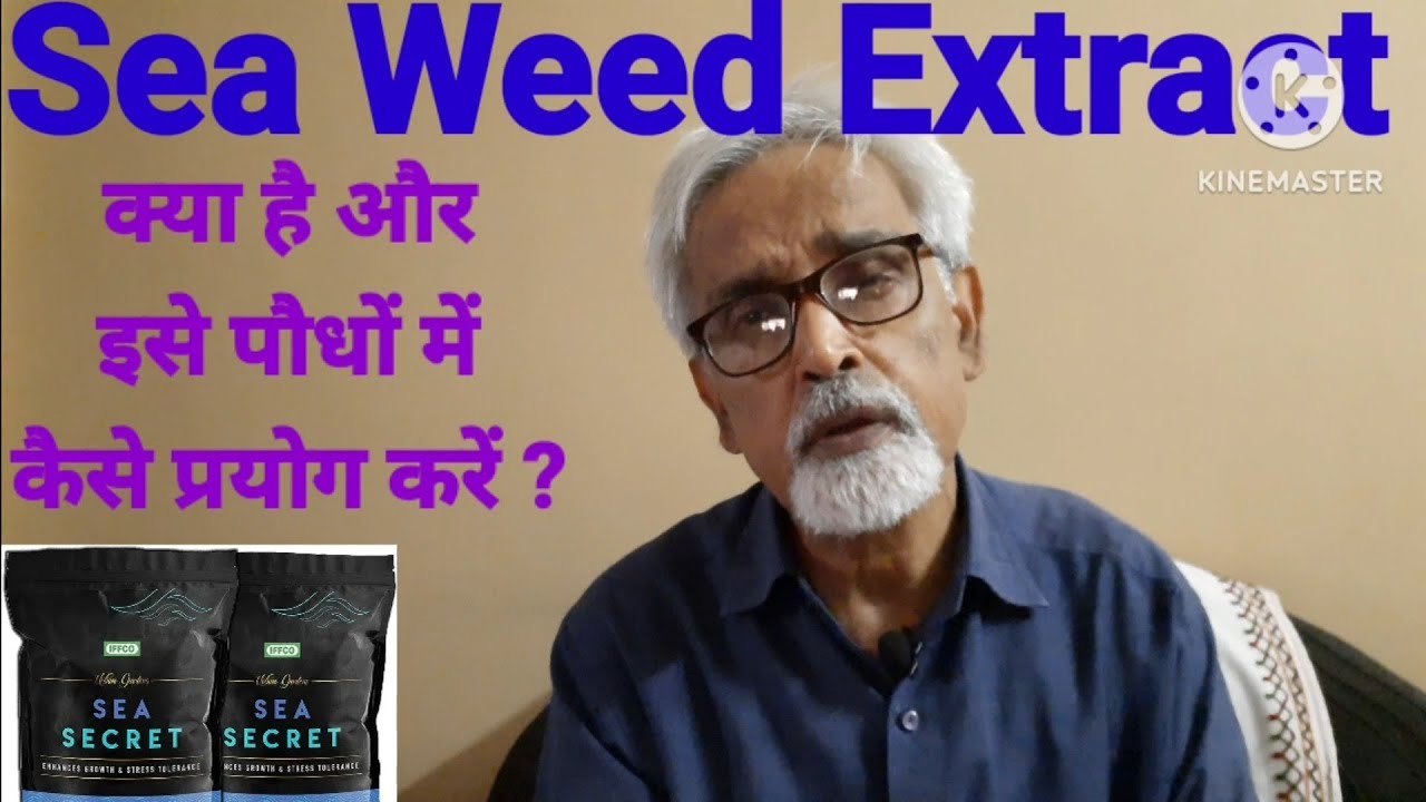What is Sea Weed Extract and How to use it (Hindi Video) Agri Videos Series @gyangarden