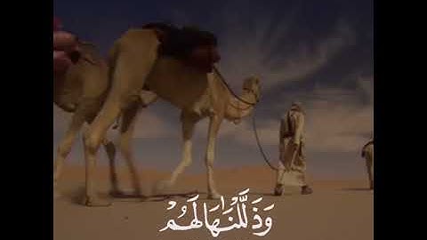 رعد الكردي ~ تلاوة هادئة من سورة يـس