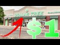 DOLLAR TREE SHOPPING!!! *FACE MASKS, FREEMAN SKINCARE & HANES* NEW FINDS + SO MANY NAME BRANDS!!!