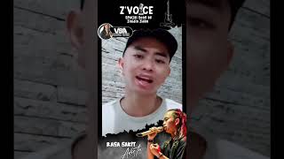 Rasa Sakit Cover Zinidin Zidan