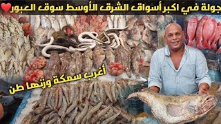 اكبر سوق سمك في مصر سوق العبورقابلنا المعلم جحا وكان معاة أغرب انواع الأسماك السمكة وزنها طن