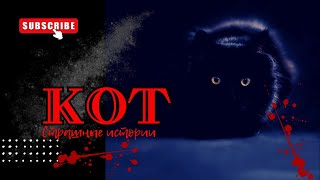 КОТ | Страшные истории на ночь | Страшилки на ночь