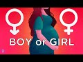 Boy or Girl? What Determines the Sex of the Baby?