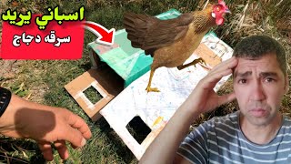 عثرت على مصيده دجاج...جانب المزرعة