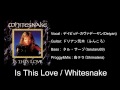 Whitesnake - Is This Love (Collaboration cover)