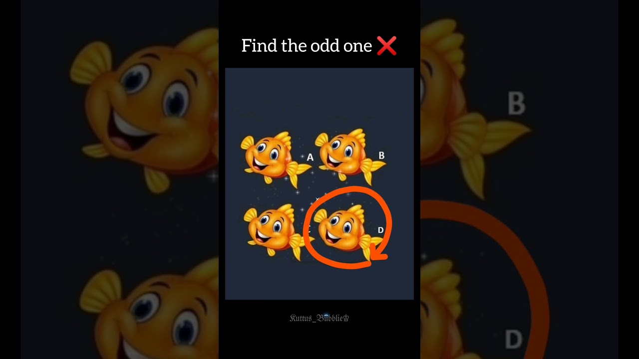 Find the odd one out ❌ 