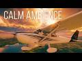 Your Safe Haven | 4K Flight over the fields [NO MUSIC]