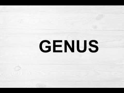 How To Pronounce Genus - YouTube