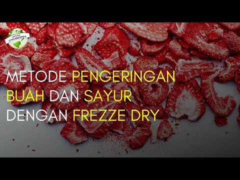 Metode Pengeringan Buah & Sayur dengan Freeze Dry