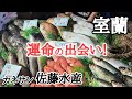 【北海道】カネサン佐藤水産卸売センター🐟鮮度抜群でコスパ最高!感動の味🥹金・土限定営業のお店☝🏻