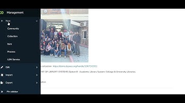 Dspace Demo Version 8