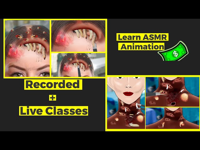 Class 04 Part 02 How to Make ASMR Animation In Adobe Animate CC | Demo Class  | Earn money Online