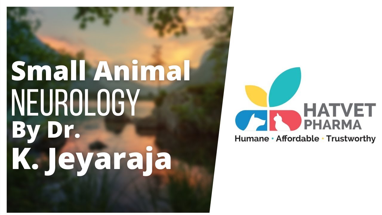 Hatvet's Webinar on Small Animal Neurology By Dr. K. Jeyaraja - Part 1 -  YouTube