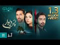 Pas e deewar episode 1  arslan naseer  noor zafar khan  ali rehman khan  eng cc  green tv