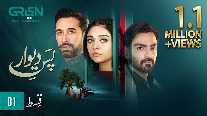 Pas e Deewar Episode 1 | Arslan Naseer | Noor Zafar Khan | Ali Rehman Khan [ ENG CC ] Green TV - DayDayNews