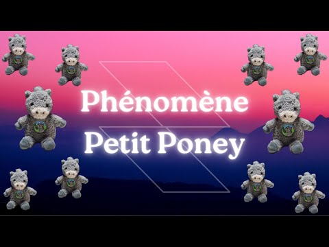 Le phénomène Petit Poney