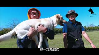 帶你認識搜狗犬-特搜鏟屎官-111 年上半年全國替代役役男藝文競賽-微電影組第二名