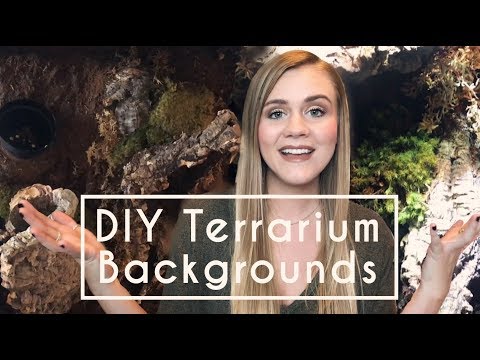 diy-terrarium-backgrounds-|-how-to-guide!