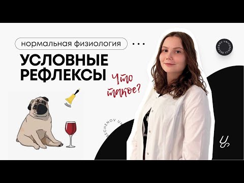 Нормальная физиология | Что такое условный рефлекс?