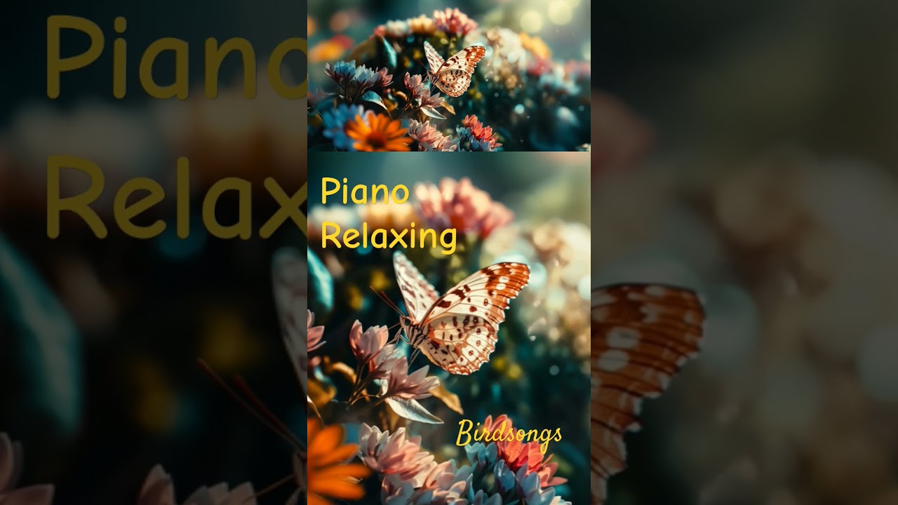 piano music with birdsongs at background for relaxation 