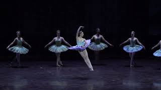 Roxane Stojanov as the Queen of the Dryads in "Don Quixote" by Rudolf Nureyev (variation)