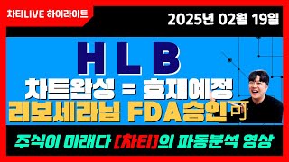 [차티] #HLB #에이치엘비 차트완성 = 호재예정 #리보세라닙 #FDA승인 가능성 높다!! - 25.02.19