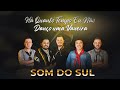 Grupo som do sul  h quanto tempo eu no dano uma vaneira