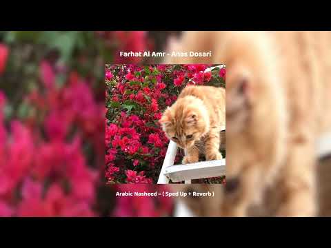 𝐅𝐚𝐫𝐡𝐚𝐭 𝐀𝐥 𝐀𝐦𝐫 𝘈𝘯𝘢𝘴 𝘋𝘰𝘴𝘢𝘳𝘪 𝗦𝗽𝗲𝗱 𝗨𝗽 𝗥𝗲𝘃𝗲𝗿𝗯 𝗦𝗼𝘂𝗹𝗳𝘂𝗹 𝗔𝗿𝗮𝗯𝗶𝗰 𝗡𝗮𝘀𝗵𝗲𝗲𝗱