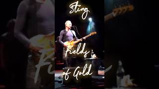 Sting ,,Fields of Gold\