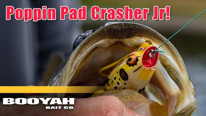 Bass blow ups on the BOOYAH Pad Crasher frog! 