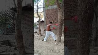 🥋 30 Days Karate Challenge | Day 1 - 20 Fast Punches | क्या आप कर पाओगे? 💥 #karate #shorts