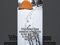 They Fled Their Tent BAREFOOT in the SNOW?! ❄️ The Dyatlov Pass Mystery