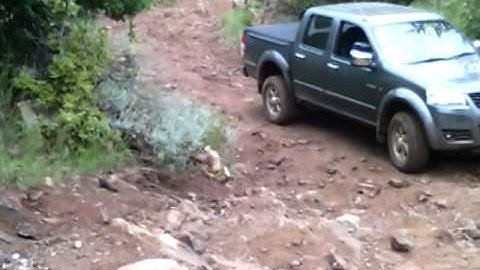 GWM Steed 5 2.4MPi 4x4 D/C