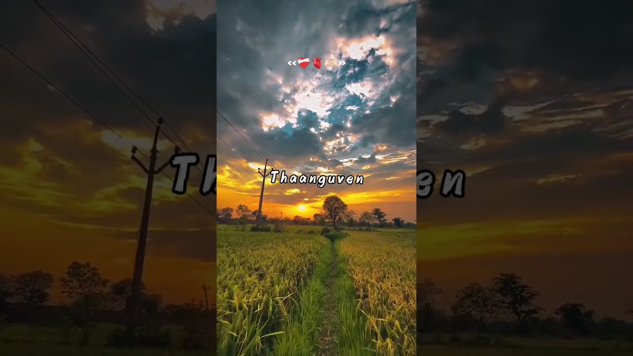 Neeum Naanum anbae 🫴🏻❤️&zwj;🩹🫀#ImaikkaaNodigal# HiphopTamizha#Nayanthara#VijaySethupathi#tamilshorts