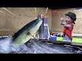 [Mukbang ASMR] 직접 잡은 거대한! 방어 먹방🐟fishing challenge! Huge Hamachi Sashimi Seafood Eatingshow Ssoyoung