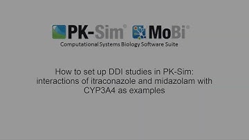 How to model drug-drug interaction in PK-Sim 6