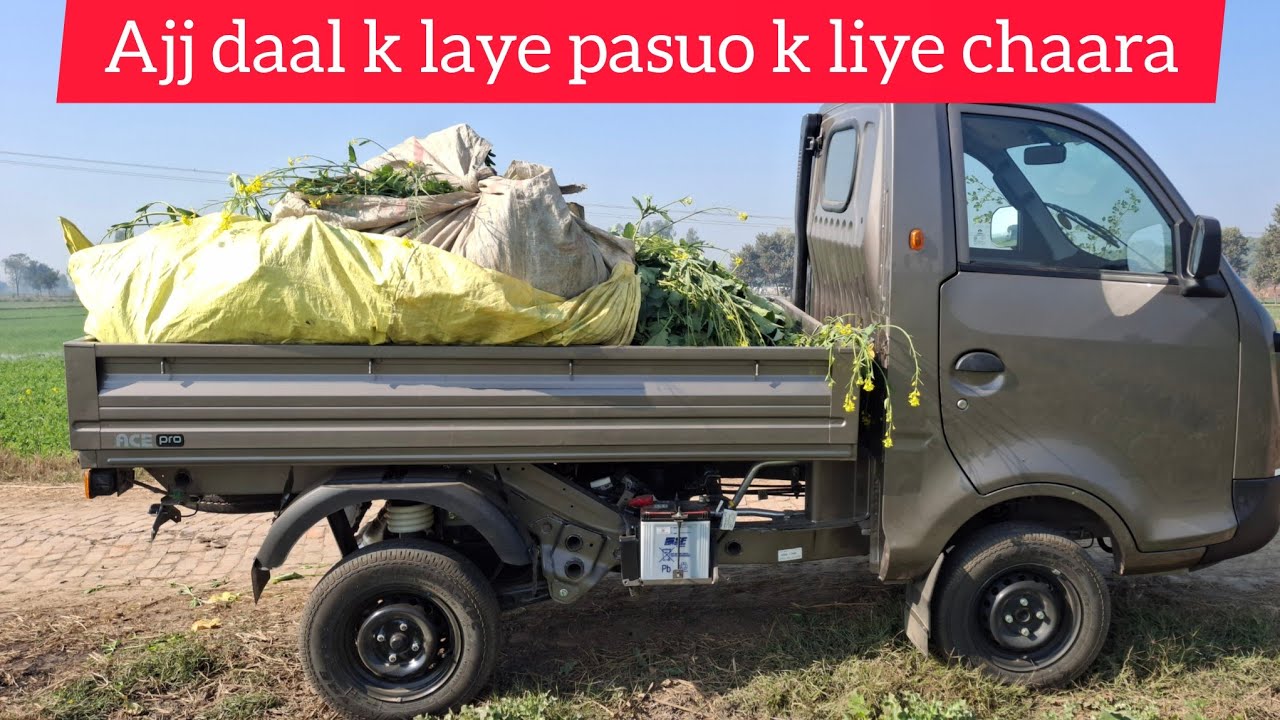 New tata ace pro bifuel!!pasuo k cahre k liye use ki ajjj #tata #tataacepro #automobile 
