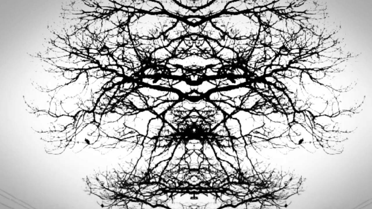 Watch Whitespawn Family tree. 2001 Michael fasbender on YouTube Watch Whitespawn Family tree. 2001 Michael fasbender on YouTube