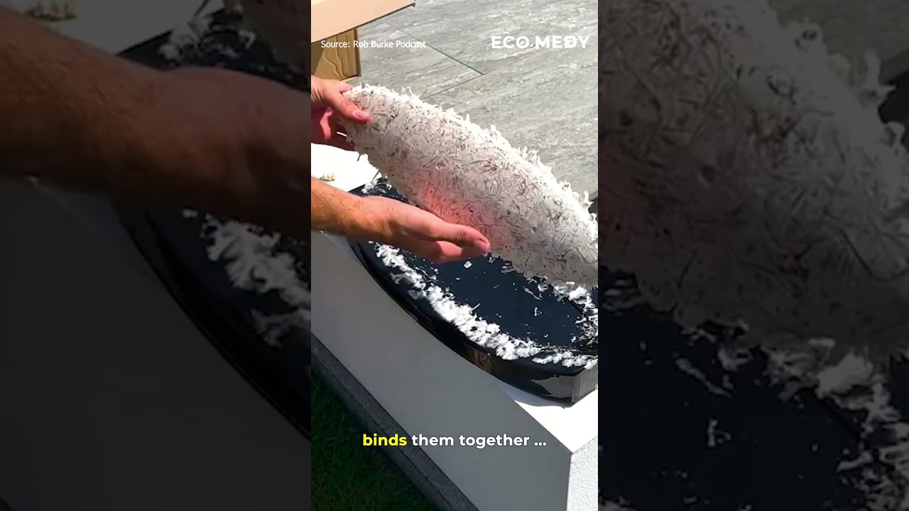 Check out this incredible  surfboard made from mushrooms by @stevedavies. 