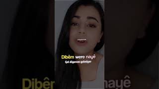 Love Kürtçedentürkçeye