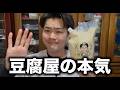 豆腐屋の息子が本気で作った豆乳プリンが想像以上だった