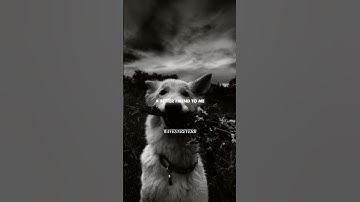 Thumbnail of Mama I'm Coming Home - Ozzy Osbourne (Lyrics)