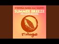 Summer Breeze (Fka Mash Instrumental Re-glitch)
