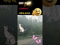아즈마아키 사랑해고마워 99재 아즈마아키 사랑해고마워 99재