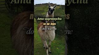 Quechua fácil #quechuafacil #Runasimi #Cusco #quechua #quechuadelcusco