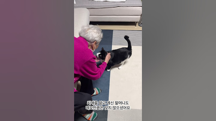 1년만에 재회한 할머니와 고양이 / 전라도에서 대구로 오게 된 #고양이 사연?! #감동 #단짝 #cat