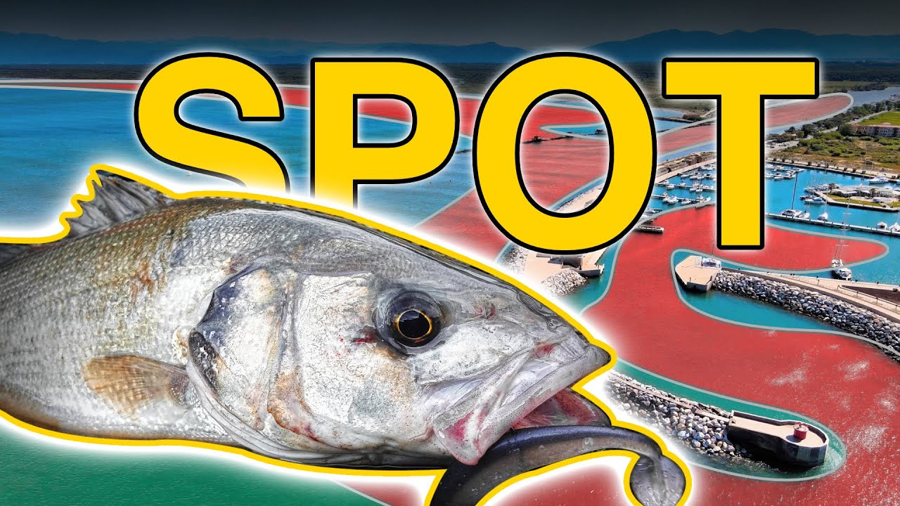 Nello SPOT GIUSTO al POSTO GIUSTO - Spinning alla Spigola