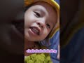 Ollo guys, gak punya taring, gak punya cakar loh kok takut #bayilucu #anakpintar #yiutubeshort