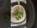 SIMPLE BROCCOLI RECIPE YOU WILL LOVE AND  ENJOY #broccoli #recipe #cooking #fypシ