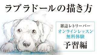 ラブラドールの描き方 簡単に絵が描ける 雑誌レトリーバーオンラインレッスン無料体験予習編 ペット絵画教室先生 Picture Classroom Dog Labrador Youtube